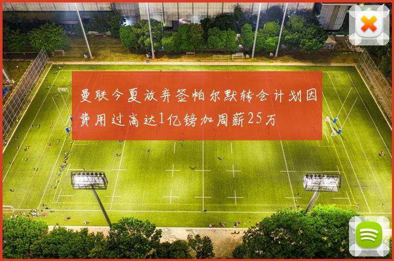 曼联今夏放弃签帕尔默转会计划因费用过高达1亿镑加周薪25万